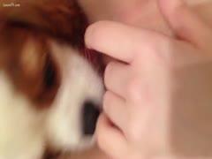 This adorable puppy is licking his mother's slit like a precious man.